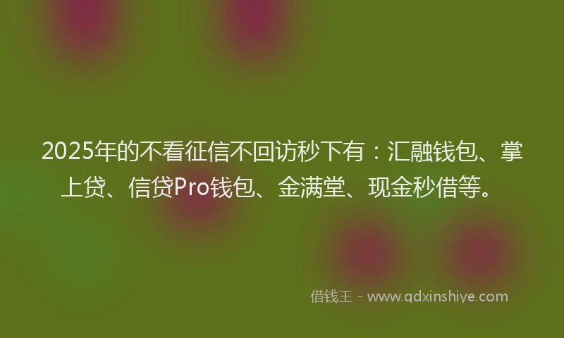 2025年的不看征信不回访秒下有：汇融钱包、掌上贷、信贷Pro钱包、金满堂、现金秒借等。