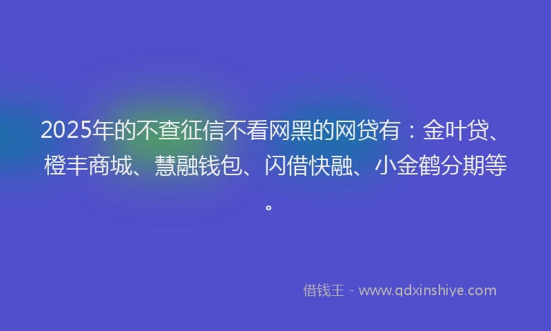 2025年的不查征信不看网黑的网贷有：金叶贷、橙丰商城、慧融钱包、闪借快融、小金鹤分期等。