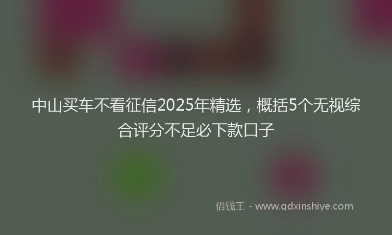中山买车不看征信2025年精选,概括5个无视综合评分不足必下款口子