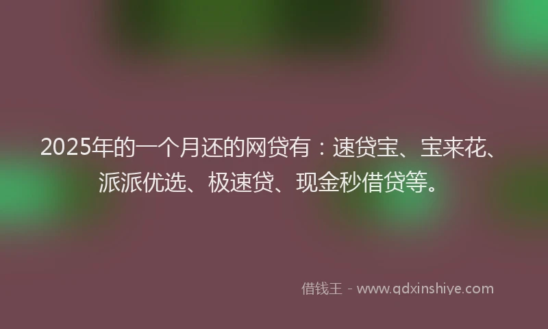 2025年的一个月还的网贷有：速贷宝、宝来花、派派优选、极速贷、现金秒借贷等。