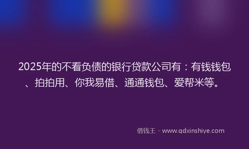 2025年的不看负债的银行贷款公司有：有钱钱包、拍拍用、你我易借、通通钱包、爱帮米等。