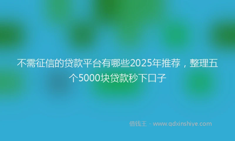 不需征信的贷款平台有哪些2025年推荐，整理五个5000块贷款秒下口子