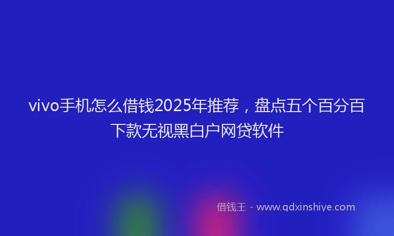 vivo手机怎么借钱2025年推荐，盘点五个百分百下款无视黑白户网贷软件