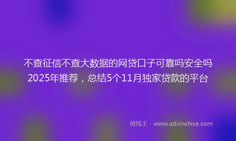 不查征信不查大数据的网贷口子可靠吗安全吗2025年推荐，总结5个11月独家贷款的平台