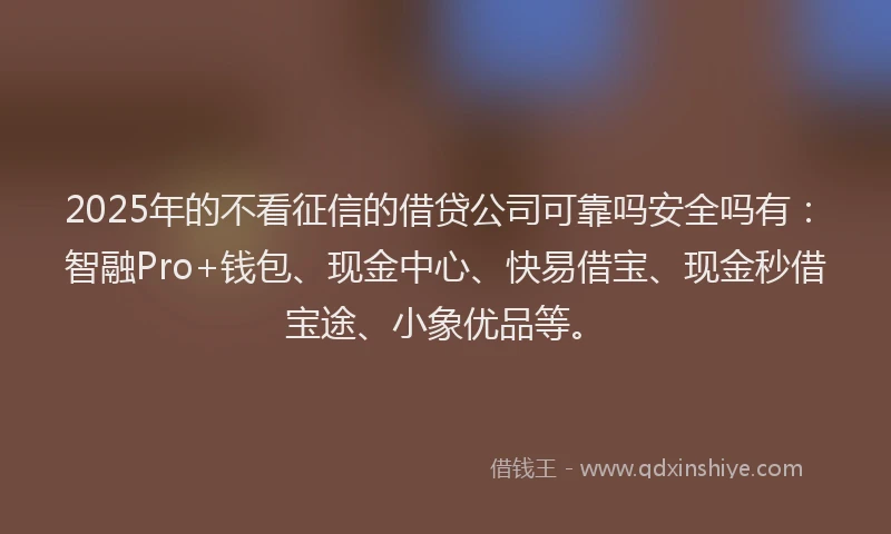 2025年的不看征信的借贷公司可靠吗安全吗有：智融Pro+钱包、现金中心、快易借宝、现金秒借宝途、小象优品等。
