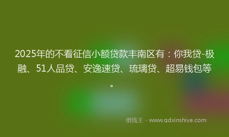 2025年的不看征信小额贷款丰南区有：你我贷-极融、51人品贷、安逸速贷、琉璃贷、超易钱包等。