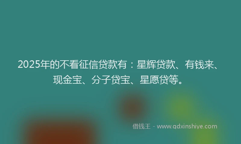 2025年的不看征信贷款有：星辉贷款、有钱来、现金宝、分子贷宝、星愿贷等。