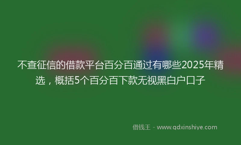不查征信的借款平台百分百通过有哪些2025年精选，概括5个百分百下款无视黑白户口子