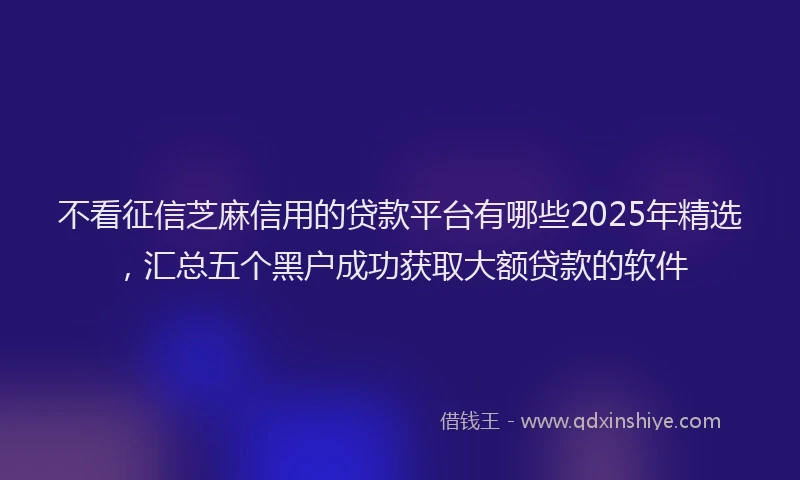 不看征信芝麻信用的贷款平台有哪些2025年精选，汇总五个黑户成功获取大额贷款的软件
