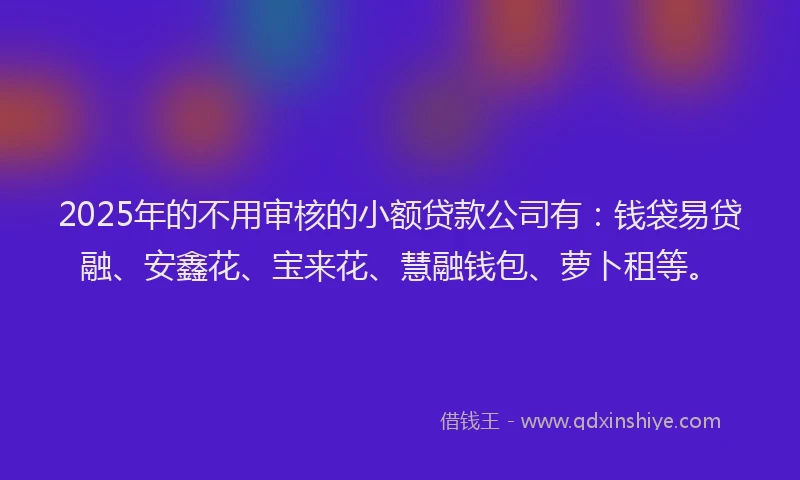 2025年的不用审核的小额贷款公司有：钱袋易贷融、安鑫花、宝来花、慧融钱包、萝卜租等。
