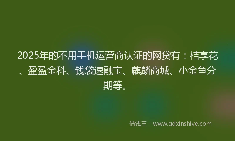 2025年的不用手机运营商认证的网贷有：桔享花、盈盈金科、钱袋速融宝、麒麟商城、小金鱼分期等。