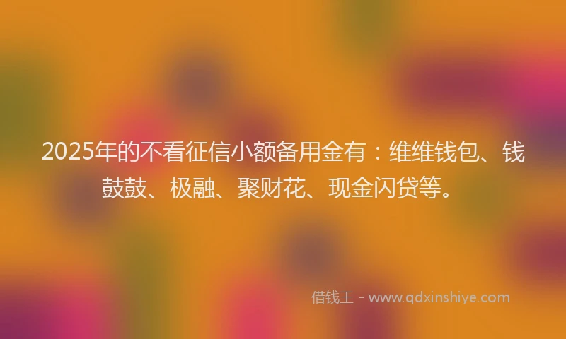 2025年的不看征信小额备用金有：维维钱包、钱鼓鼓、极融、聚财花、现金闪贷等。