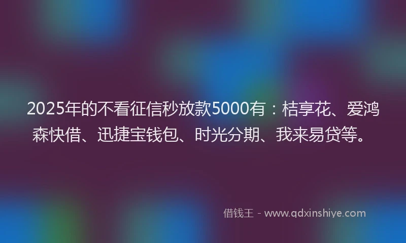 2025年的不看征信秒放款5000有：桔享花、爱鸿森快借、迅捷宝钱包、时光分期、我来易贷等。