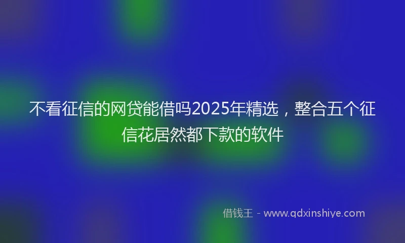 不看征信的网贷能借吗2025年精选，整合五个征信花居然都下款的软件