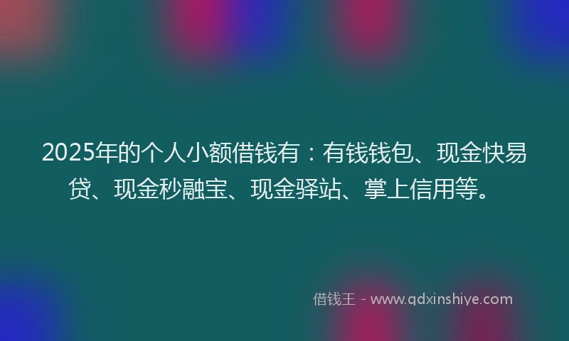 2025年的个人小额借钱有：有钱钱包、现金快易贷、现金秒融宝、现金驿站、掌上信用等。