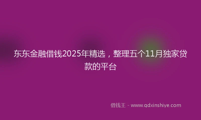 东东金融借钱2025年精选，整理五个11月独家贷款的平台