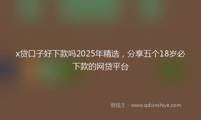 x贷口子好下款吗2025年精选，分享五个18岁必下款的网贷平台