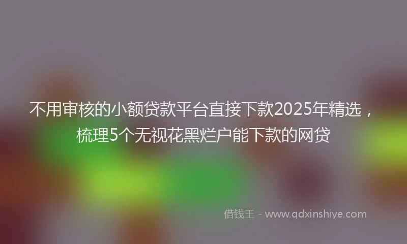 不用审核的小额贷款平台直接下款2025年精选，梳理5个无视花黑烂户能下款的网贷