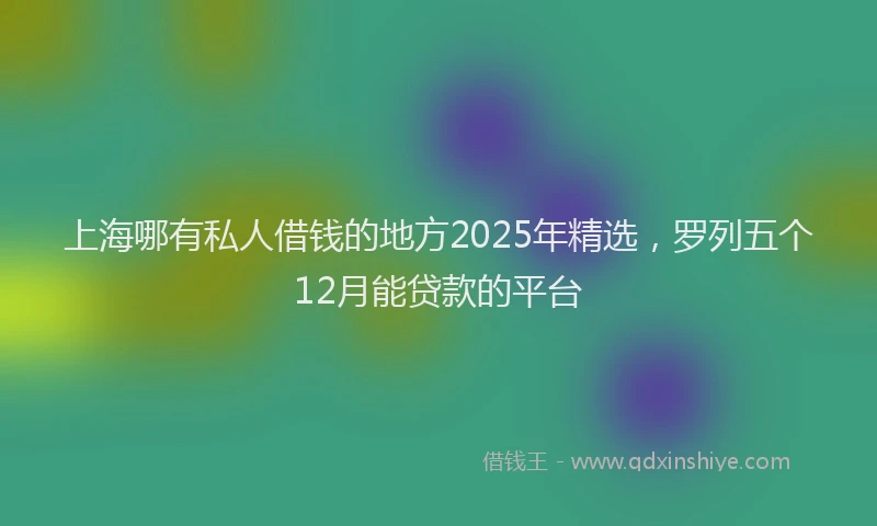 上海哪有私人借钱的地方2025年精选，罗列五个12月能贷款的平台