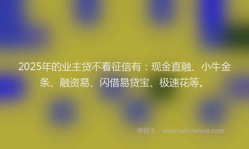 2025年的业主贷不看征信有：现金直融、小牛金条、融资易、闪借易贷宝、极速花等。