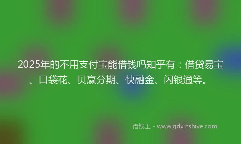 2025年的不用支付宝能借钱吗知乎有：借贷易宝、口袋花、贝赢分期、快融金、闪银通等。