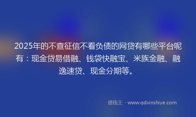 2025年的不查征信不看负债的网贷有哪些平台呢有：现金贷易借融、钱袋快融宝、米族金融、融逸速贷、现金分期等。