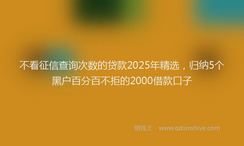 不看征信查询次数的贷款2025年精选，归纳5个黑户百分百不拒的2000借款口子