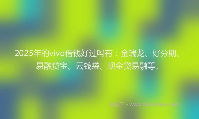 2025年的vivo借钱好过吗有：金瑞龙、好分期、易融贷宝、云钱袋、现金贷易融等。