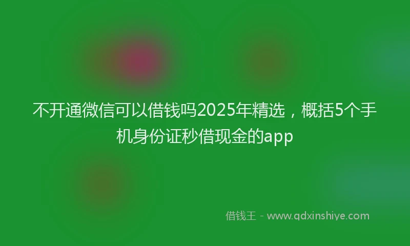 不开通微信可以借钱吗2025年精选，概括5个手机身份证秒借现金的app