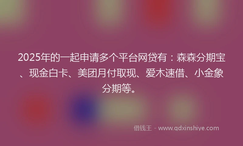 2025年的一起申请多个平台网贷有：森森分期宝、现金白卡、美团月付取现、爱木速借、小金象分期等。