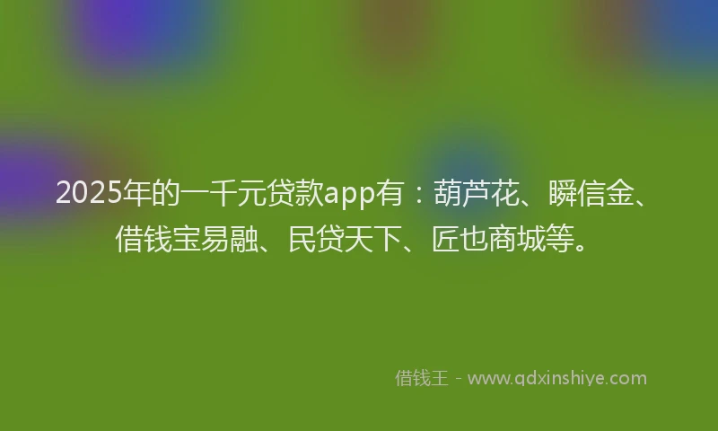 2025年的一千元贷款app有：葫芦花、瞬信金、借钱宝易融、民贷天下、匠也商城等。