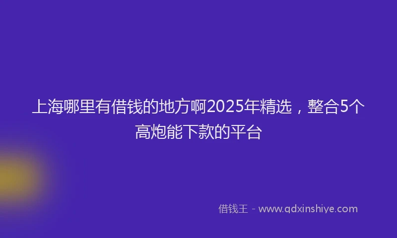上海哪里有借钱的地方啊2025年精选，整合5个高炮能下款的平台