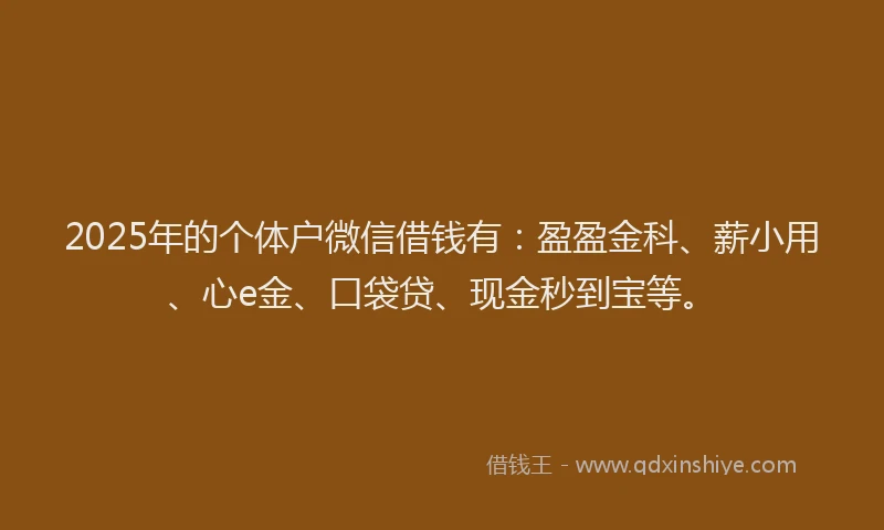 2025年的个体户微信借钱有：盈盈金科、薪小用、心e金、口袋贷、现金秒到宝等。
