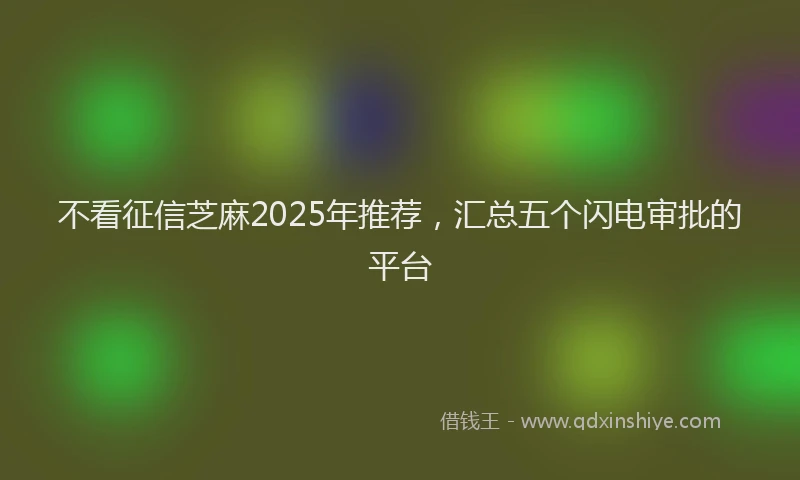 不看征信芝麻2025年推荐，汇总五个闪电审批的平台