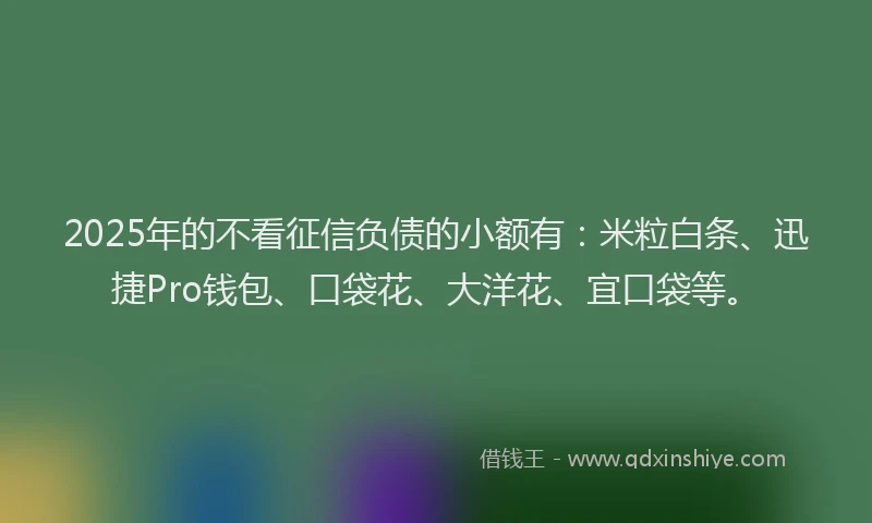 2025年的不看征信负债的小额有：米粒白条、迅捷Pro钱包、口袋花、大洋花、宜口袋等。
