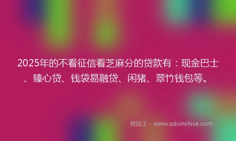 2025年的不看征信看芝麻分的贷款有：现金巴士、臻心贷、钱袋易融贷、闲猪、翠竹钱包等。