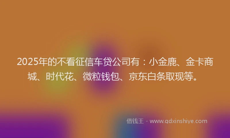 2025年的不看征信车贷公司有：小金鹿、金卡商城、时代花、微粒钱包、京东白条取现等。