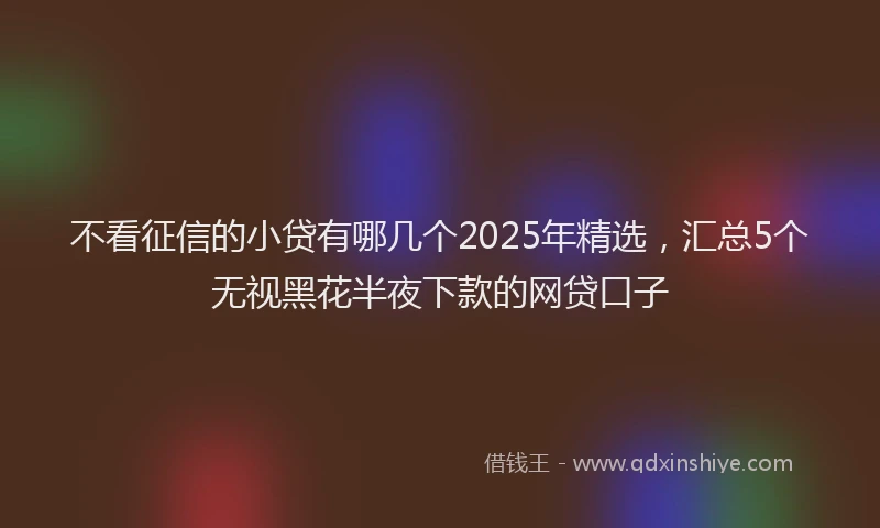 不看征信的小贷有哪几个2025年精选，汇总5个无视黑花半夜下款的网贷口子