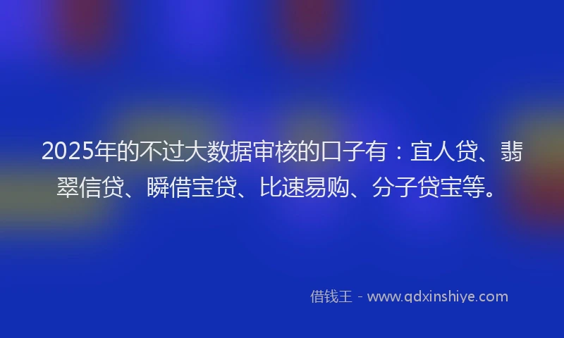 2025年的不过大数据审核的口子有：宜人贷、翡翠信贷、瞬借宝贷、比速易购、分子贷宝等。