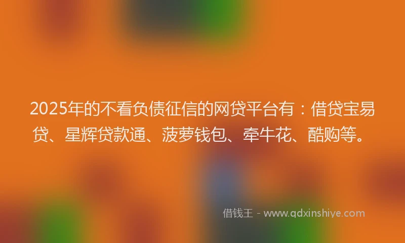 2025年的不看负债征信的网贷平台有：借贷宝易贷、星辉贷款通、菠萝钱包、牵牛花、酷购等。