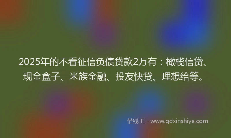 2025年的不看征信负债贷款2万有：橄榄信贷、现金盒子、米族金融、投友快贷、理想给等。