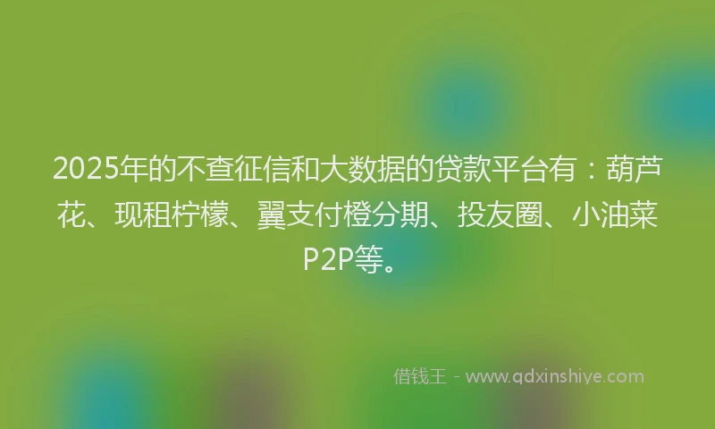 2025年的不查征信和大数据的贷款平台有：葫芦花、现租柠檬、翼支付橙分期、投友圈、小油菜P2P等。