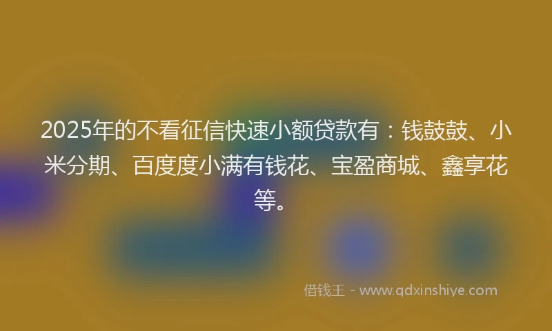 2025年的不看征信快速小额贷款有：钱鼓鼓、小米分期、百度度小满有钱花、宝盈商城、鑫享花等。