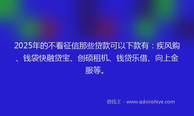 2025年的不看征信那些贷款可以下款有：疾风购、钱袋快融贷宝、创硕租机、钱贷乐借、向上金服等。