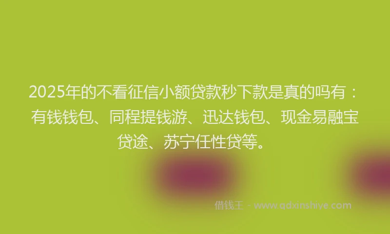 2025年的不看征信小额贷款秒下款是真的吗有：有钱钱包、同程提钱游、迅达钱包、现金易融宝贷途、苏宁任性贷等。