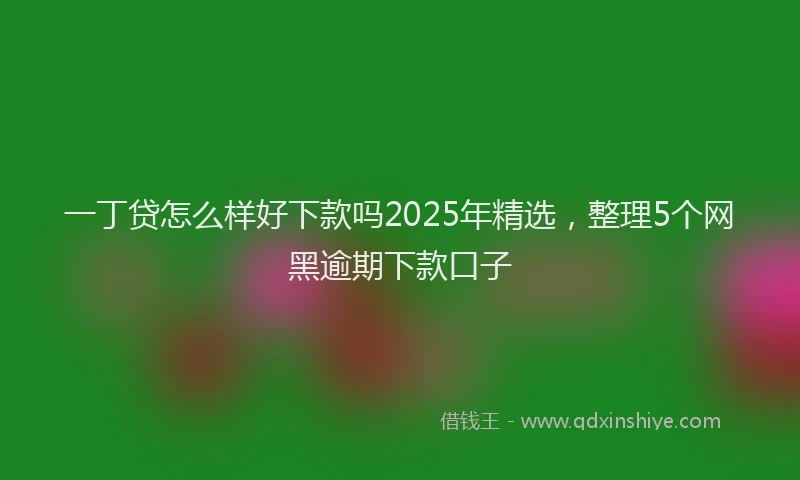 一丁贷怎么样好下款吗2025年精选，整理5个网黑逾期下款口子