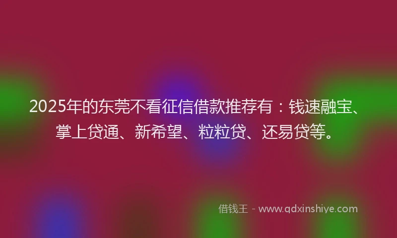 2025年的东莞不看征信借款推荐有：钱速融宝、掌上贷通、新希望、粒粒贷、还易贷等。