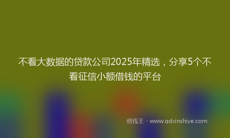 不看大数据的贷款公司2025年精选，分享5个不看征信小额借钱的平台