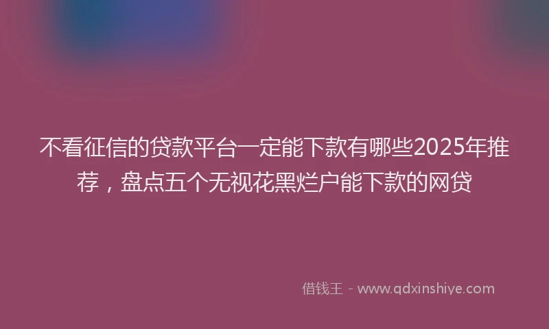 不看征信的贷款平台一定能下款有哪些2025年推荐，盘点五个无视花黑烂户能下款的网贷