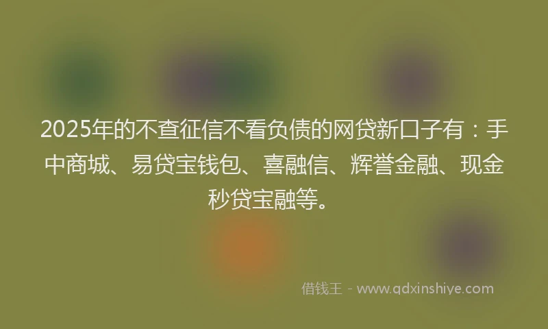 2025年的不查征信不看负债的网贷新口子有：手中商城、易贷宝钱包、喜融信、辉誉金融、现金秒贷宝融等。